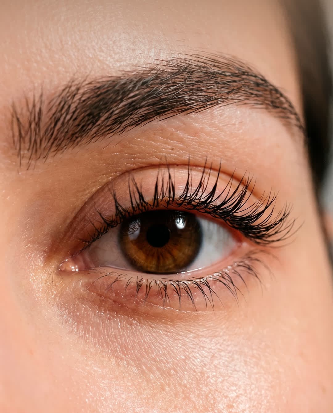 Macro de una mirada con cejas y pestañas definidas